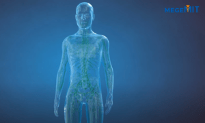 3D-Video-Immunsystem