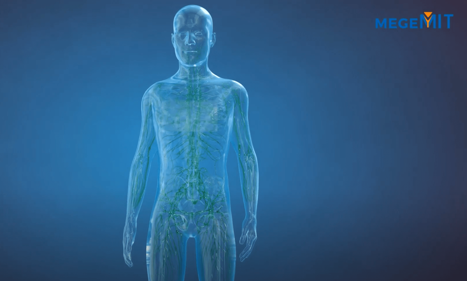 3D-Video-Immunsystem