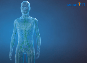 3D Video Immunsystem in Balance