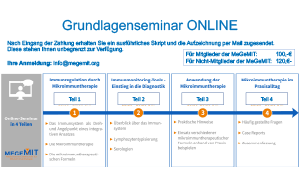 MeGeMIT_Online-Seminare-GL_A1_A2-1