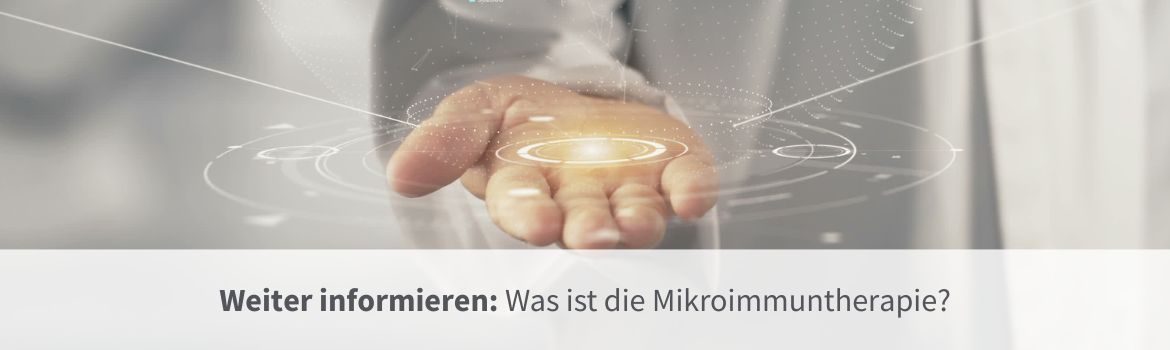 Was ist die MIT