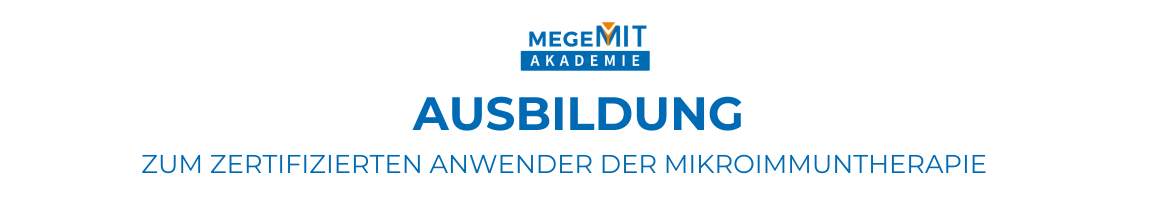 Akademie MeGeMIT