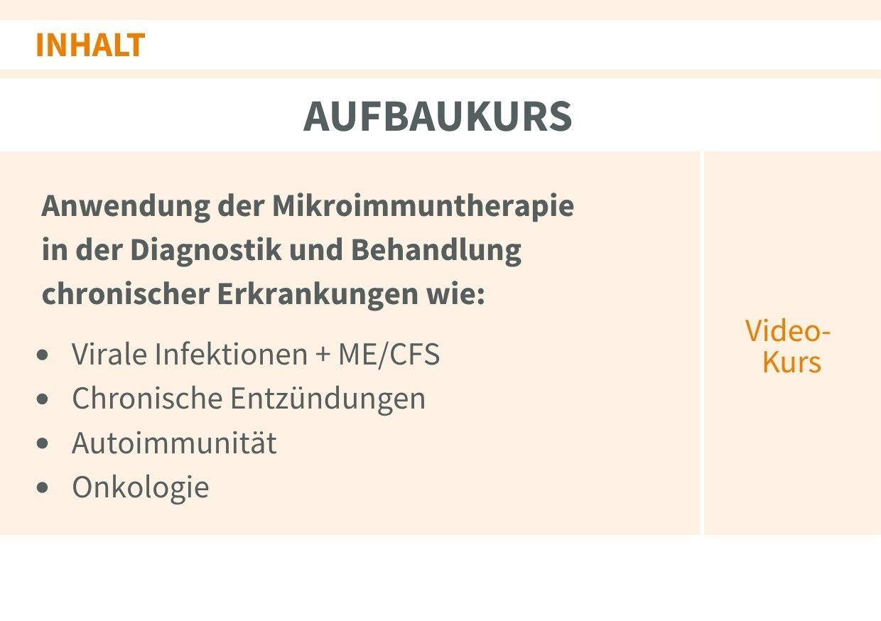 Online Aufbaukurs